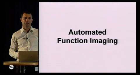 New Insights in Cardiac Mechanics: Data Post Processing - Global and Regional Strain