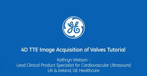 Vivid Tutorial 4D TTE Image Acquisition of Valves