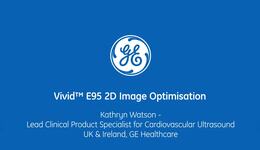 2D Image Optimisation Vivid E95