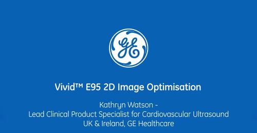 Vivid Tutorial Vivid E95 2D Image Optimisation