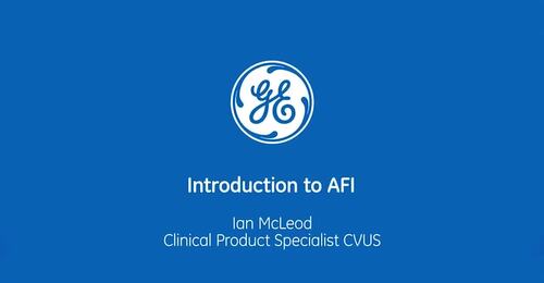 Introduction to AFI