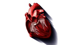 Imaging in Heart Failure