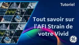 Tout savoir sur l'AFI Strain de votre Vivid