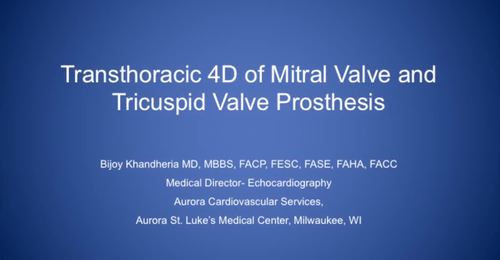 CVUS Tech Expo: Transthoracic 4D MV and Tricuspid Valve Prosthesis ...