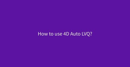 How to use 4D Auto LVQ