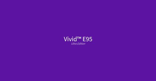 Vivid E95 Ultra Edition