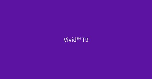 Vivid T9